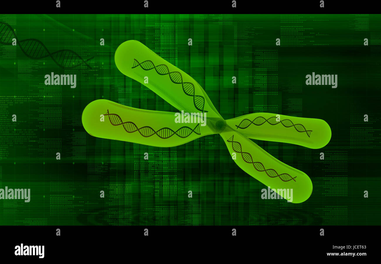 Chromosome x y hi-res stock photography and images - Alamy