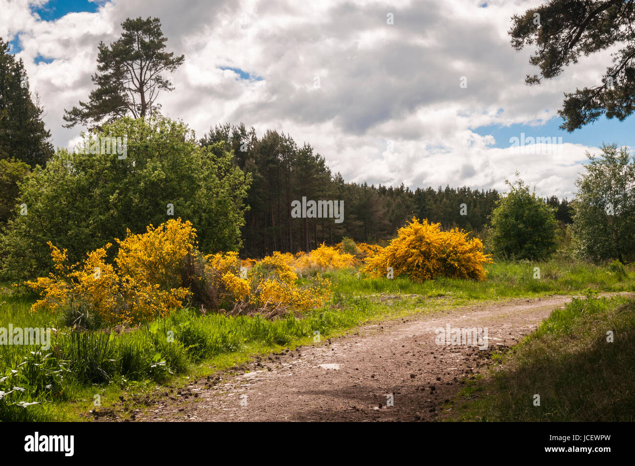 Roseisle hires stock photography and images Alamy