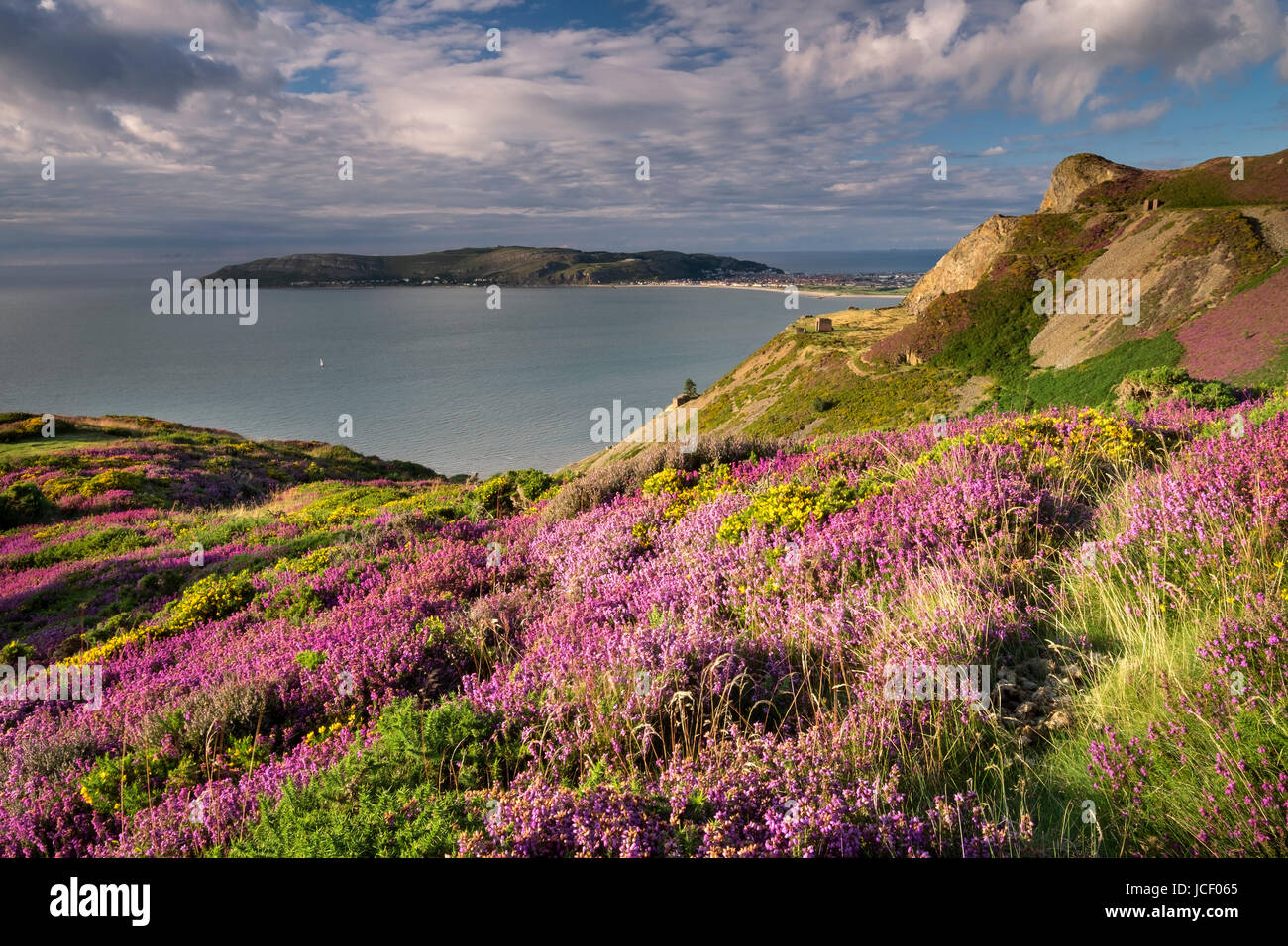 The Great Orme & Llandudno from Conwy Mountain in Summer, Conwy, North Wales, UK Stock Photo