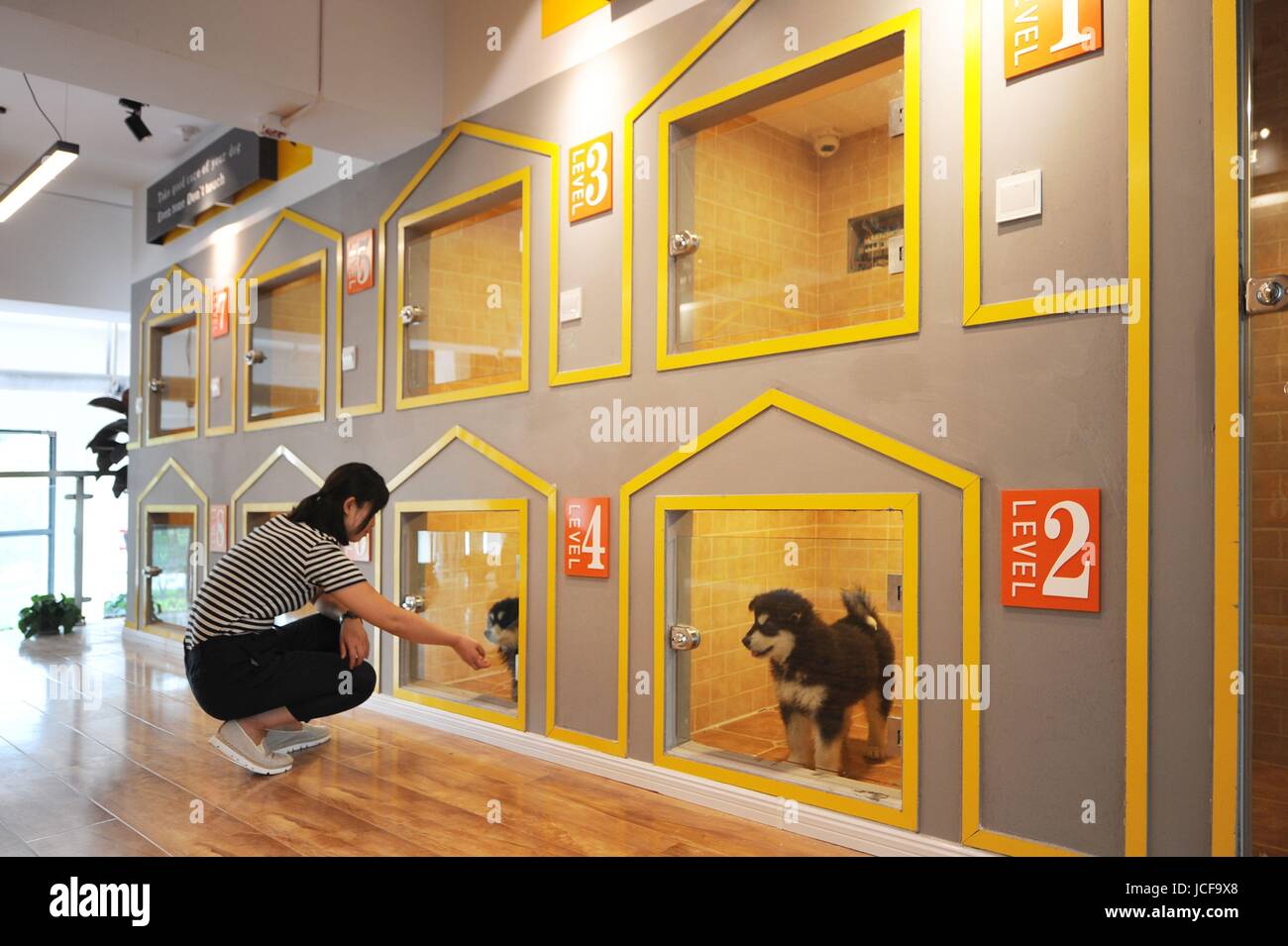 Qingdao, Qingdao, China. 15th June, 2017. Qingdao, CHINAJune 15 2017