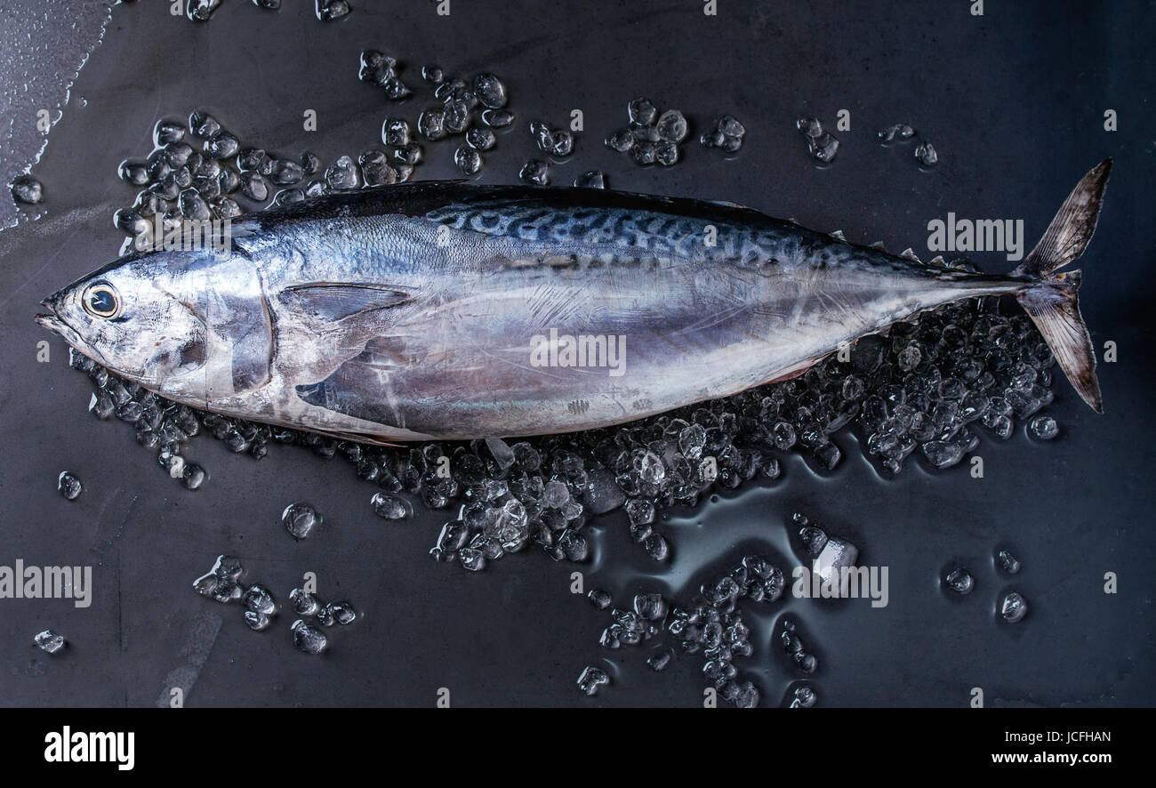 Tuna fish hires stock photography and images Alamy