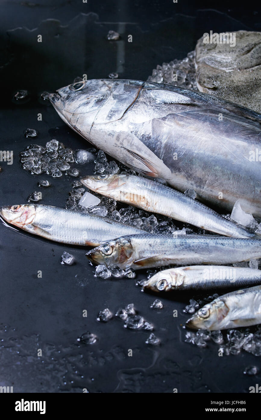 Raw fresh tuna, herring and flounder fish Stock Photo Alamy