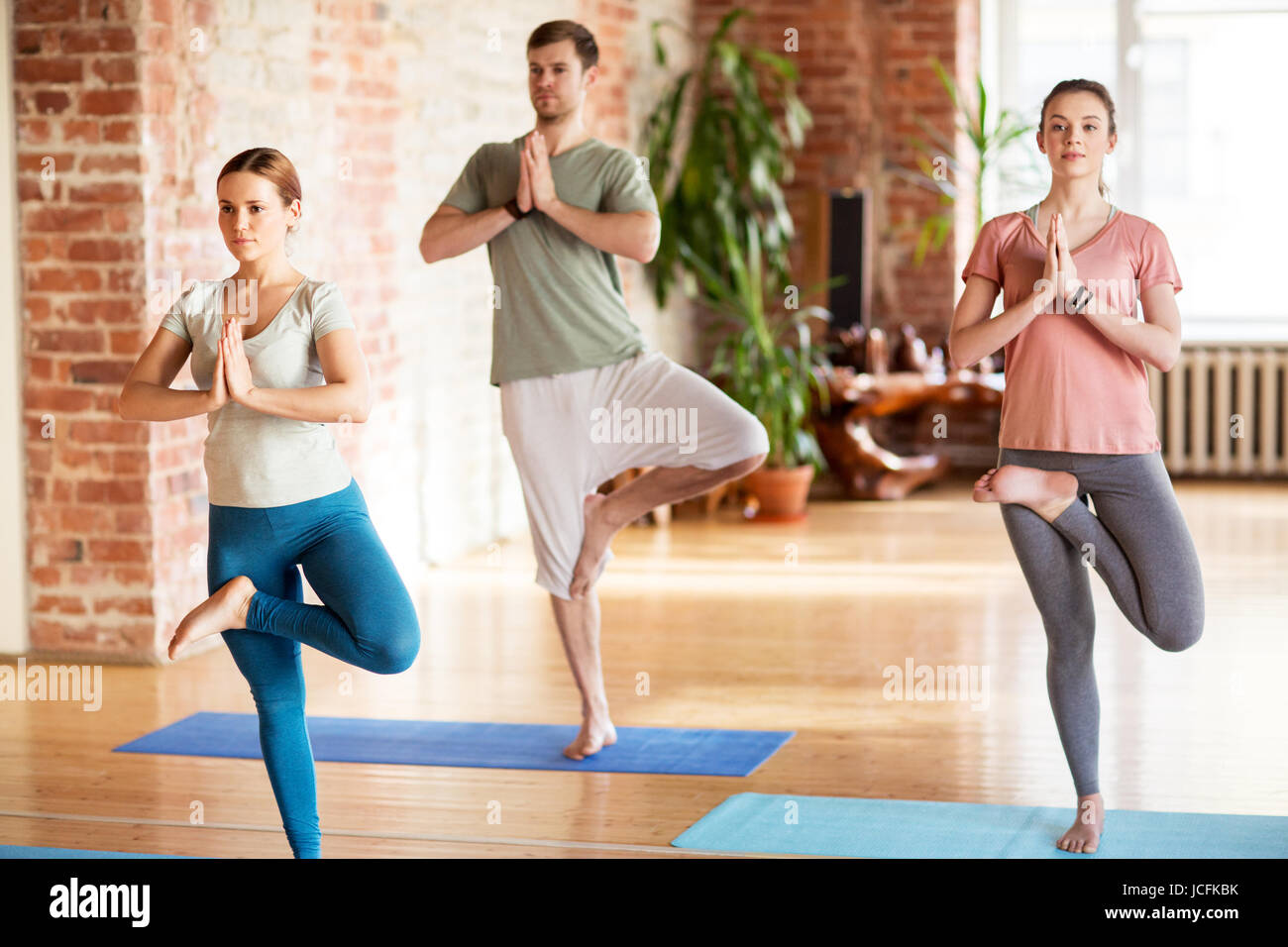 group of people doing yoga tree pose at studio Stock Photo - Alamy