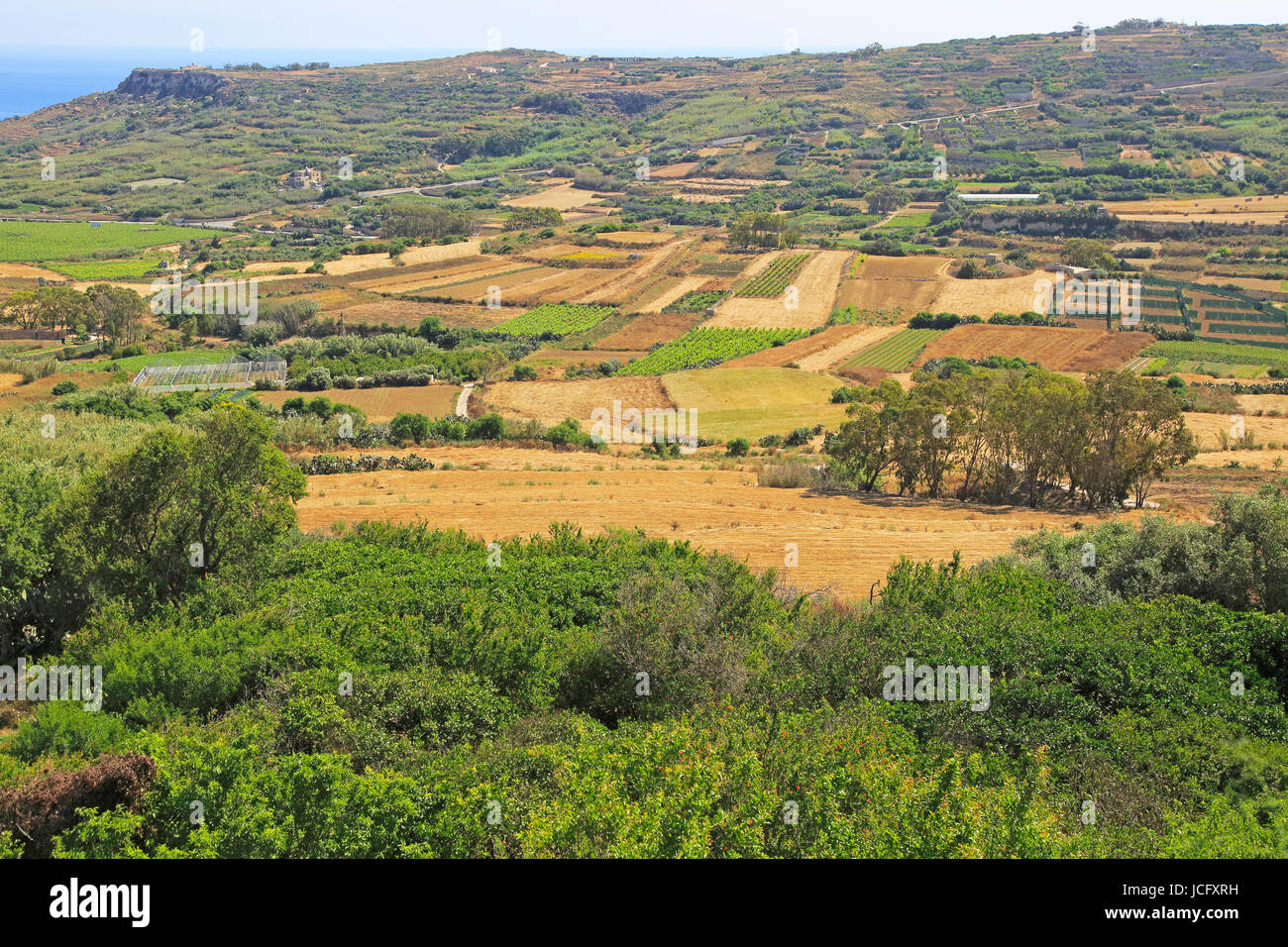 Rural farming landscape from Xaghra to Ramla Bay, island of Gozo, Malta