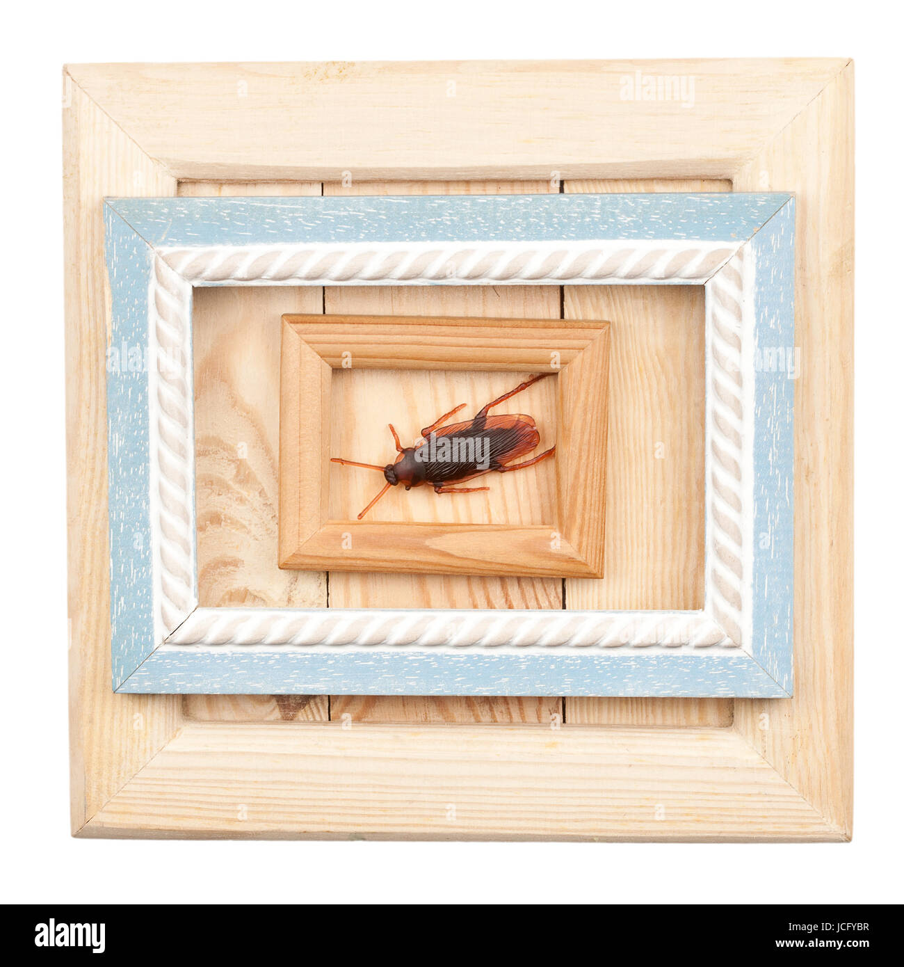 Old wooden frames and fake cockroach isolated on white Stock Photo - Alamy
