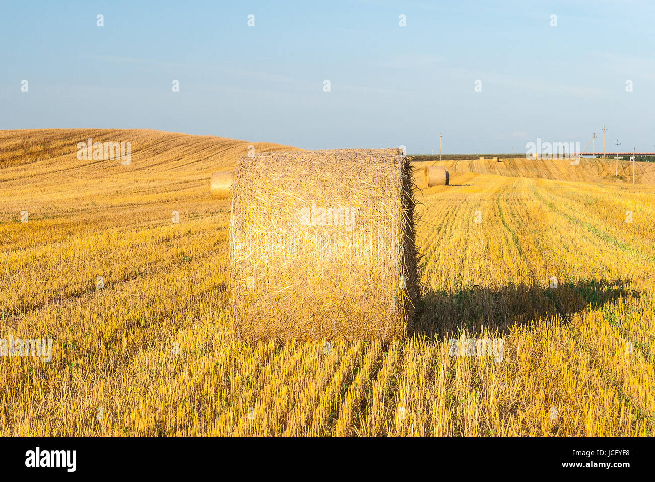 Haystacks in the field at sunny day Stock Photo - Alamy