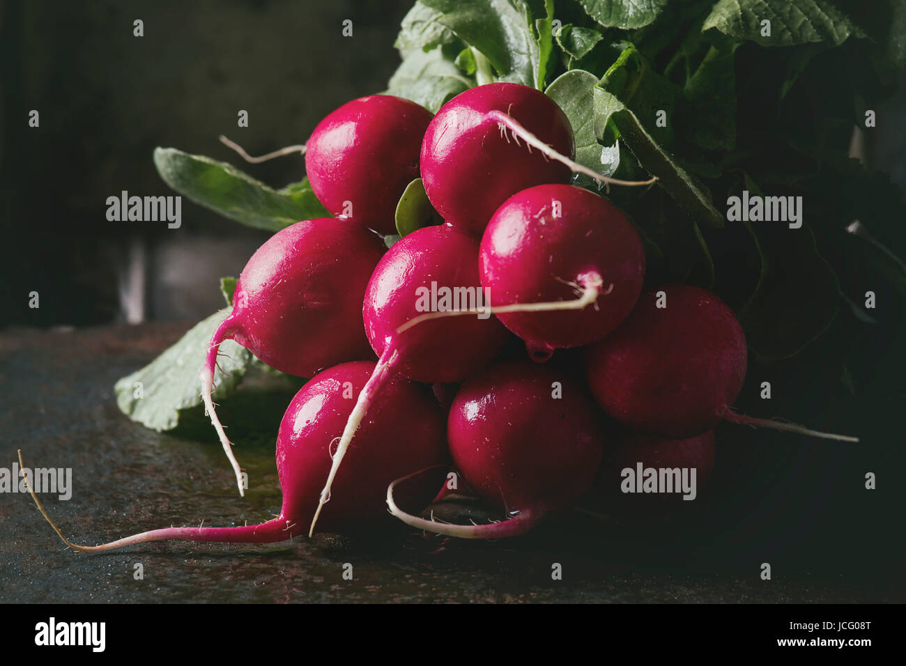 Fresh organic ripe young radish bundle with leaves over dark texture
