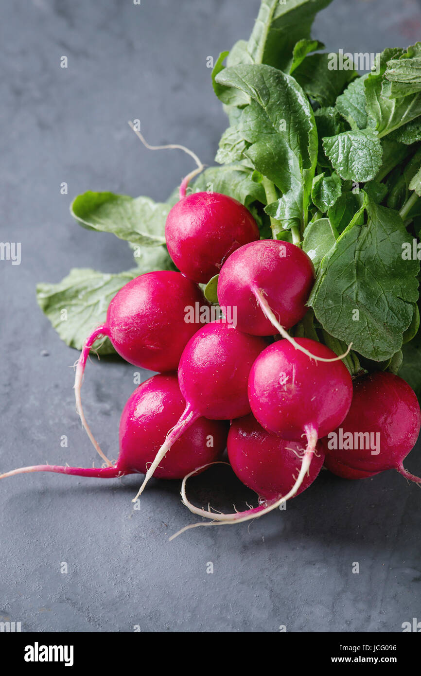 Fresh organic ripe young radish bundle with leaves over gray blue texture background. Close up Stock Photo