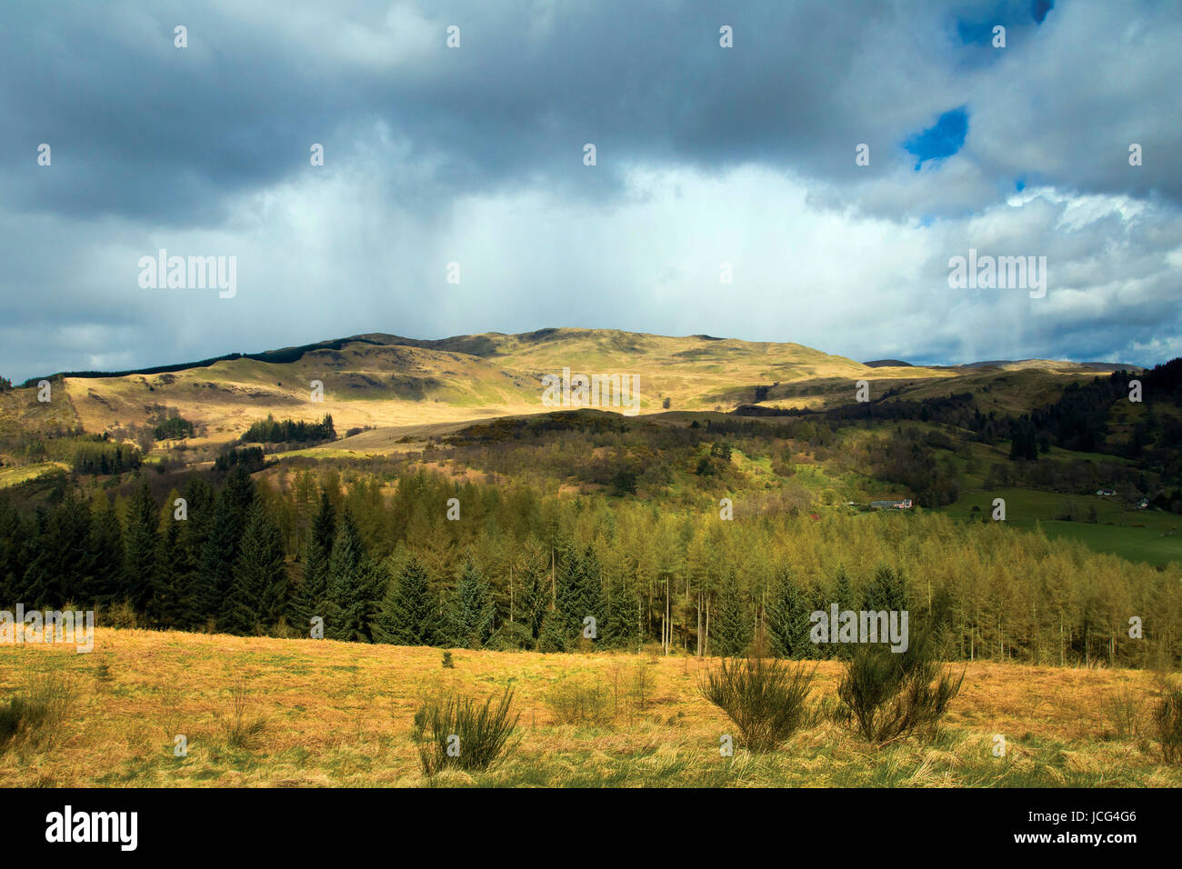 The Forest of Glenartney from Samson’s Putting Stone above The Great Trossachs Path, Loch Lomond and the Trossachs National Park, Stirlingshire Stock Photo
