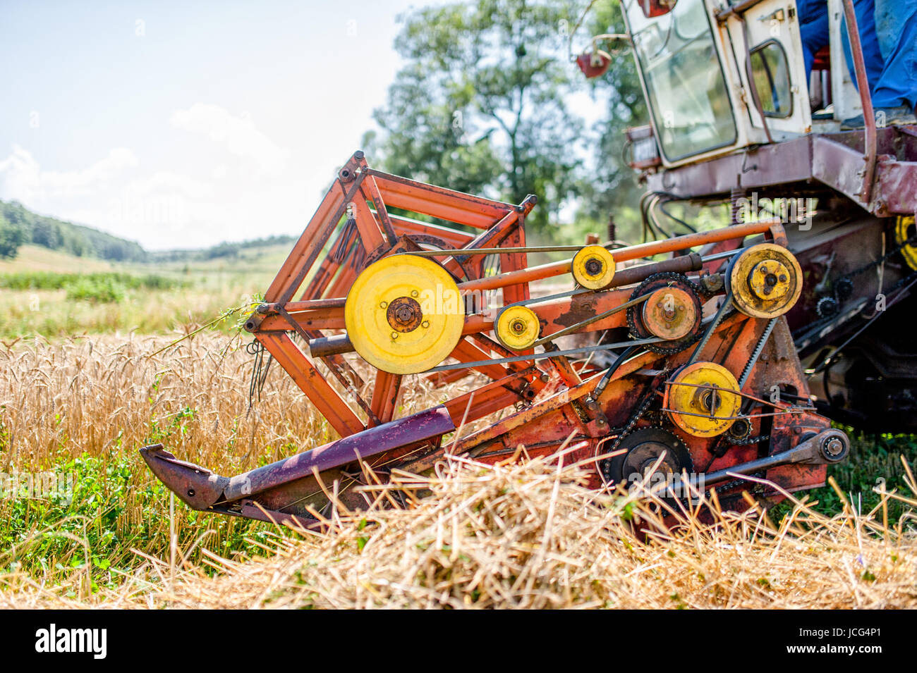 agricultural activities with combine harvesting machine in wheat crops ...