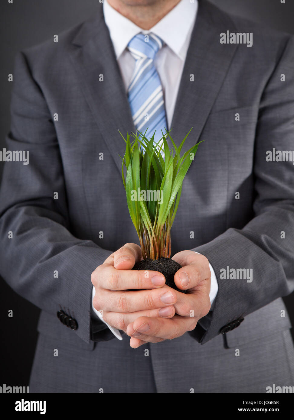 Close-up Of Businessman Holding Green Grass In Cupped Hands Stock Photo ...