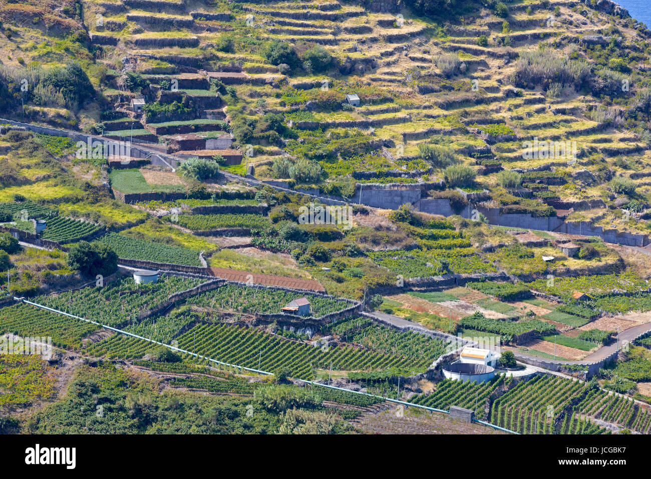 Landwirtschaft auf der Insel Madeira, Portugal Stock Photo - Alamy