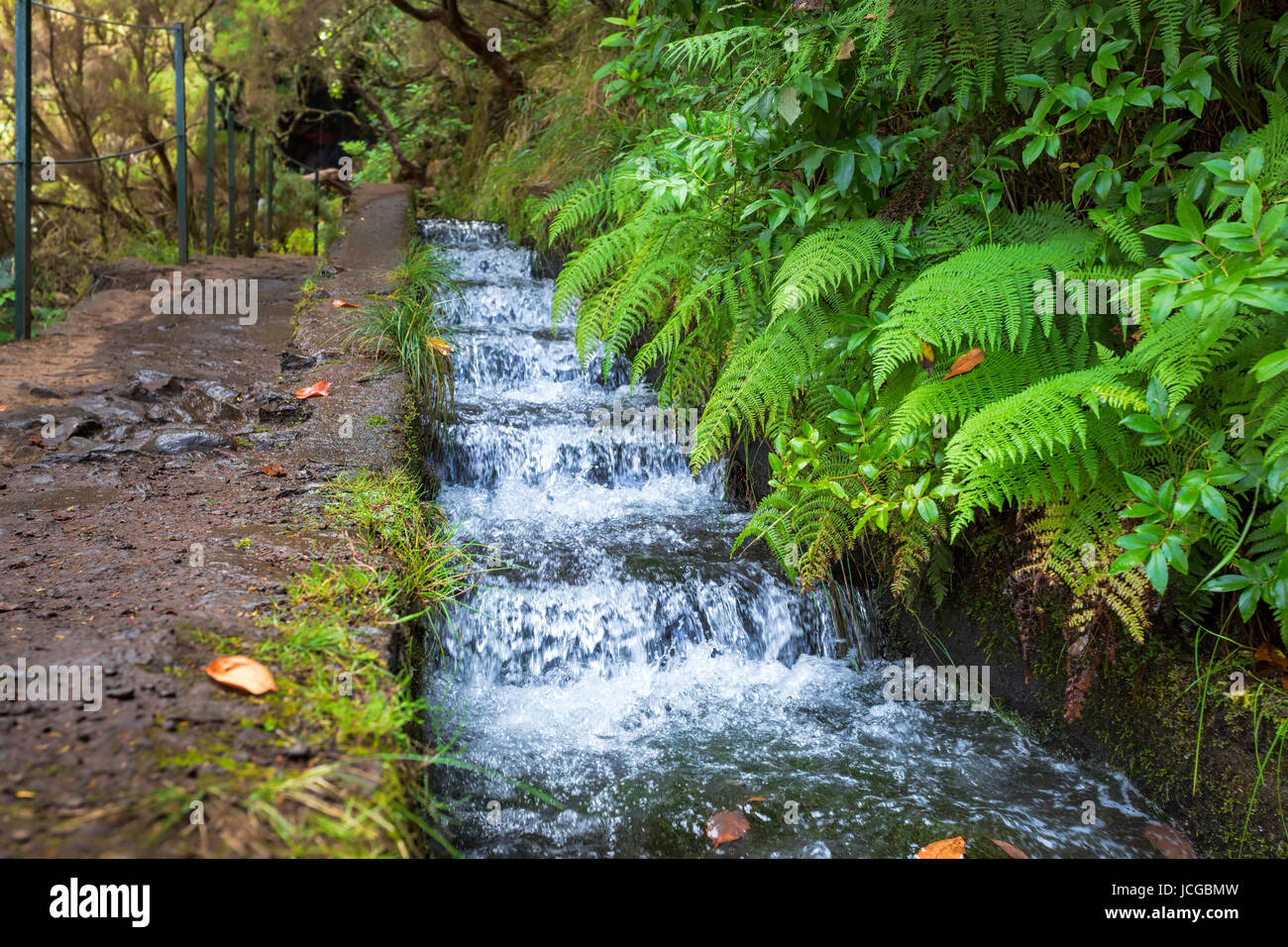 Levada Wandern Auf Madeira Portugal High Resolution Stock Photography And Images Alamy