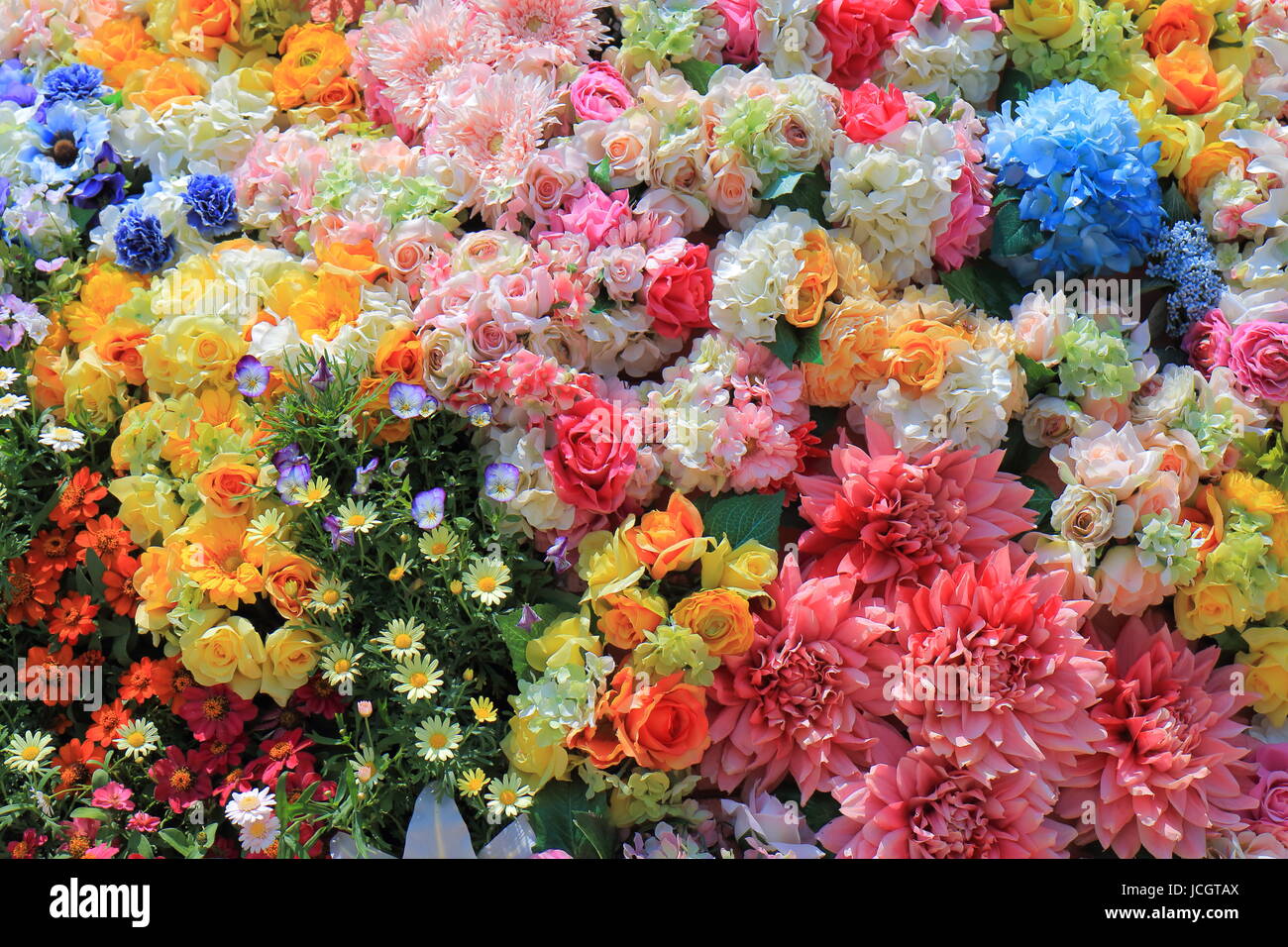 Colourful flower background hi-res stock photography and images - Alamy