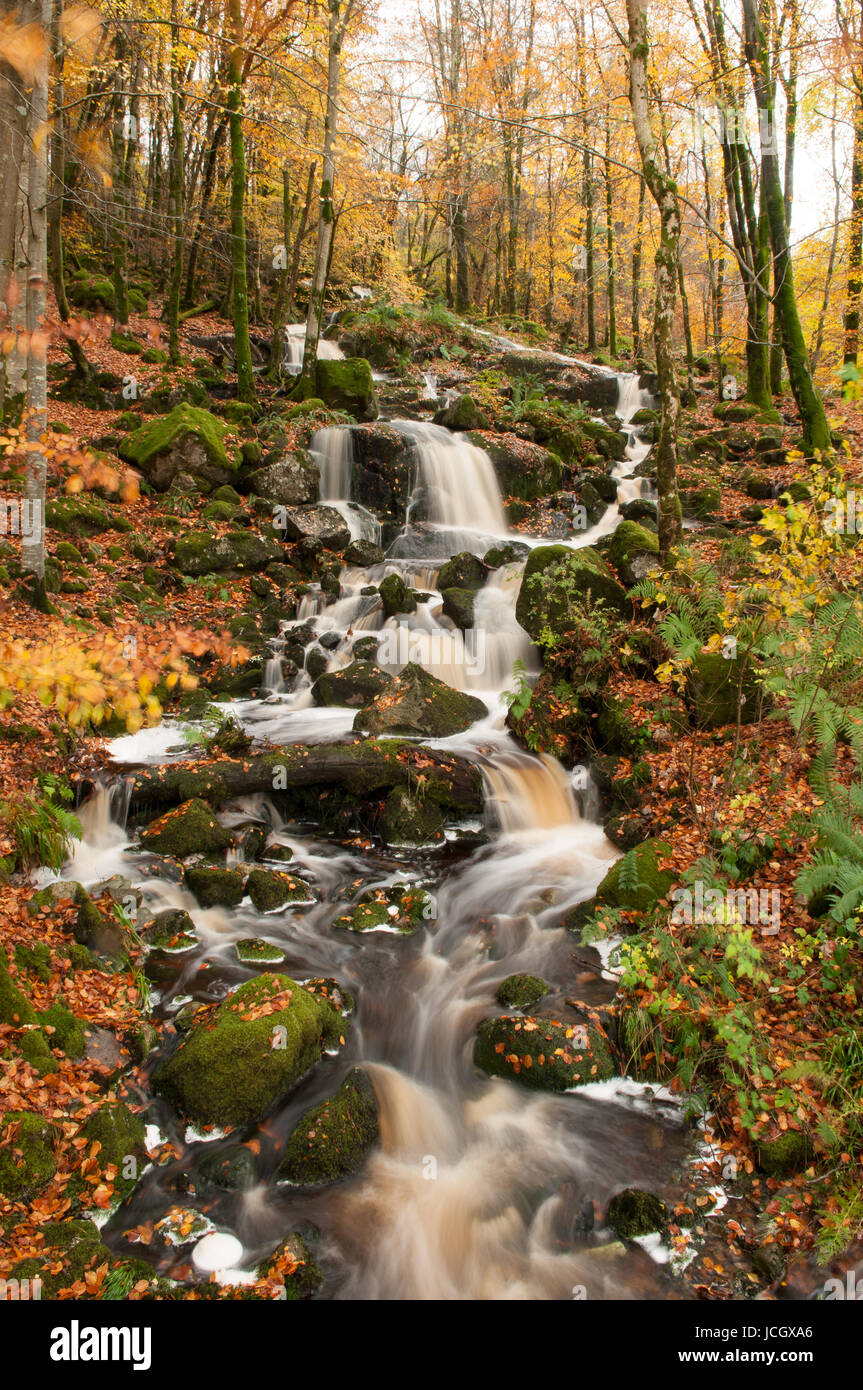 Ken burn hires stock photography and images Alamy