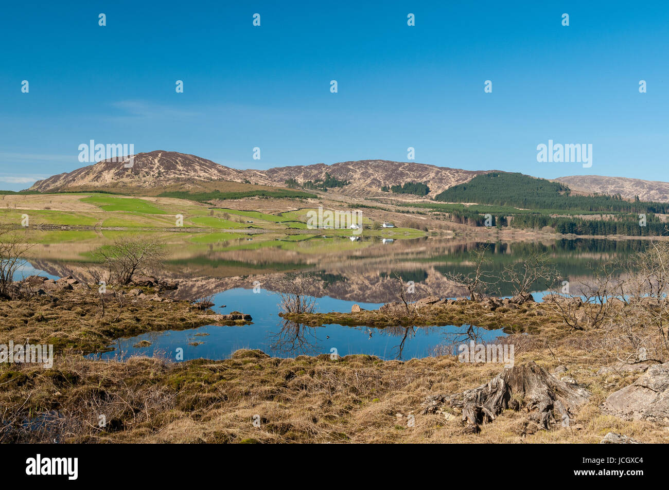 Clatteringshaws Loch and man-made loch, part of the Galloway Hydro Scheme in the Galloway Forest Park Stock Photo