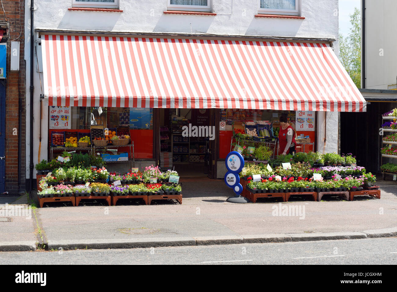 Canopy shop near me online