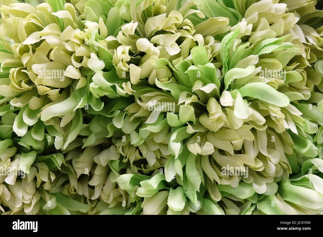 Background of Artificial Green Chrysanthemum Flowers for Home and Building Decoration. Stock Photo