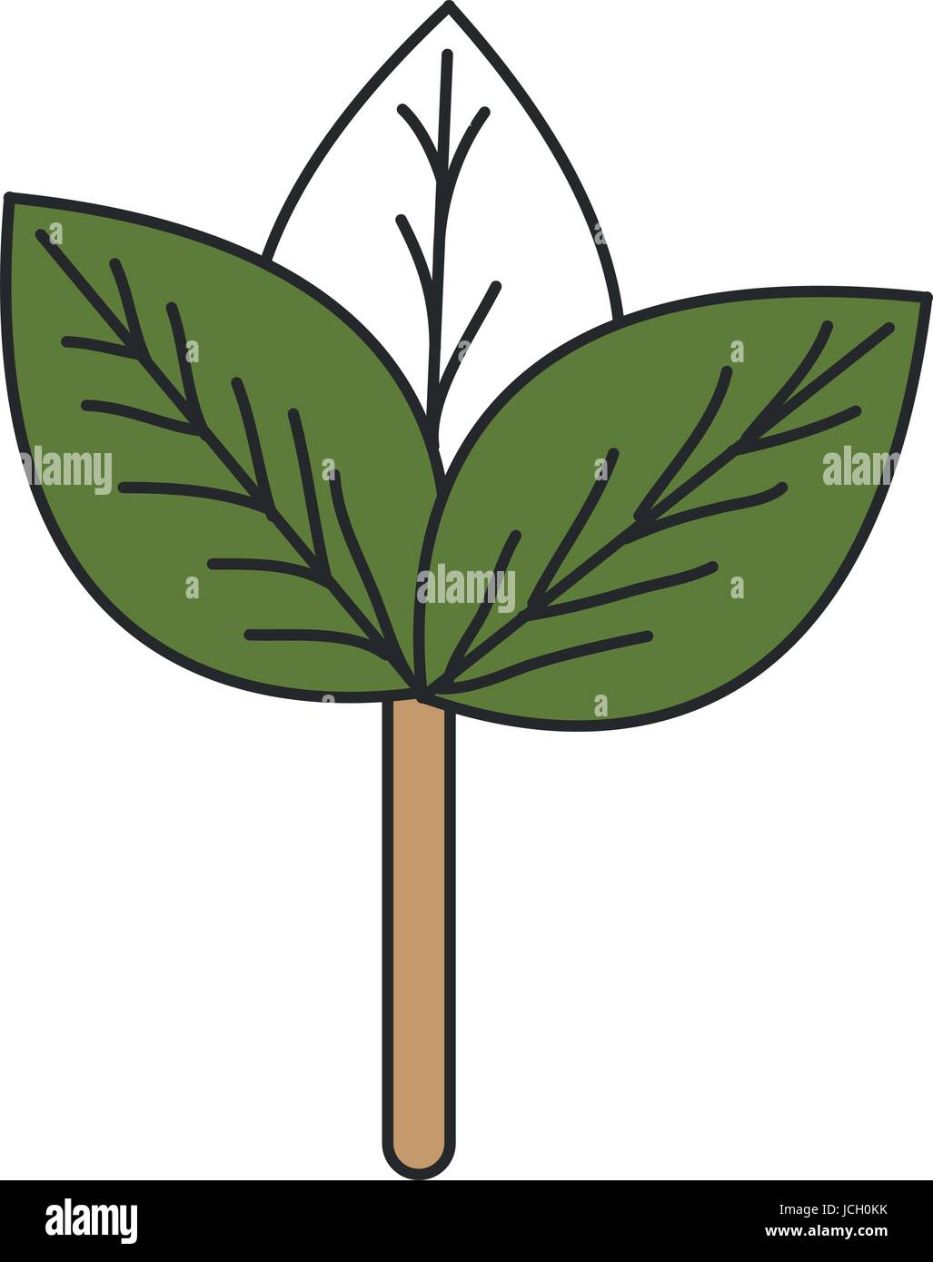 leafs plant ecology icon Stock Vector Image & Art - Alamy