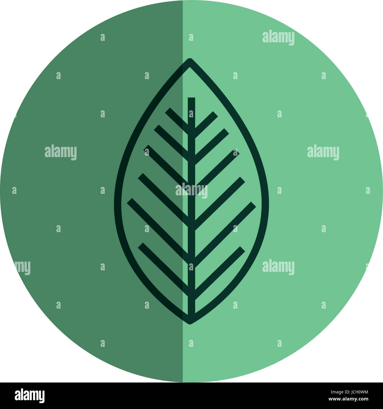 leafs plant ecology icon Stock Vector Image & Art - Alamy