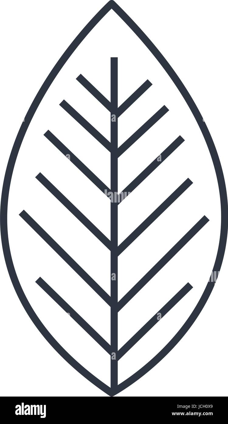 leafs plant ecology icon Stock Vector Image & Art - Alamy