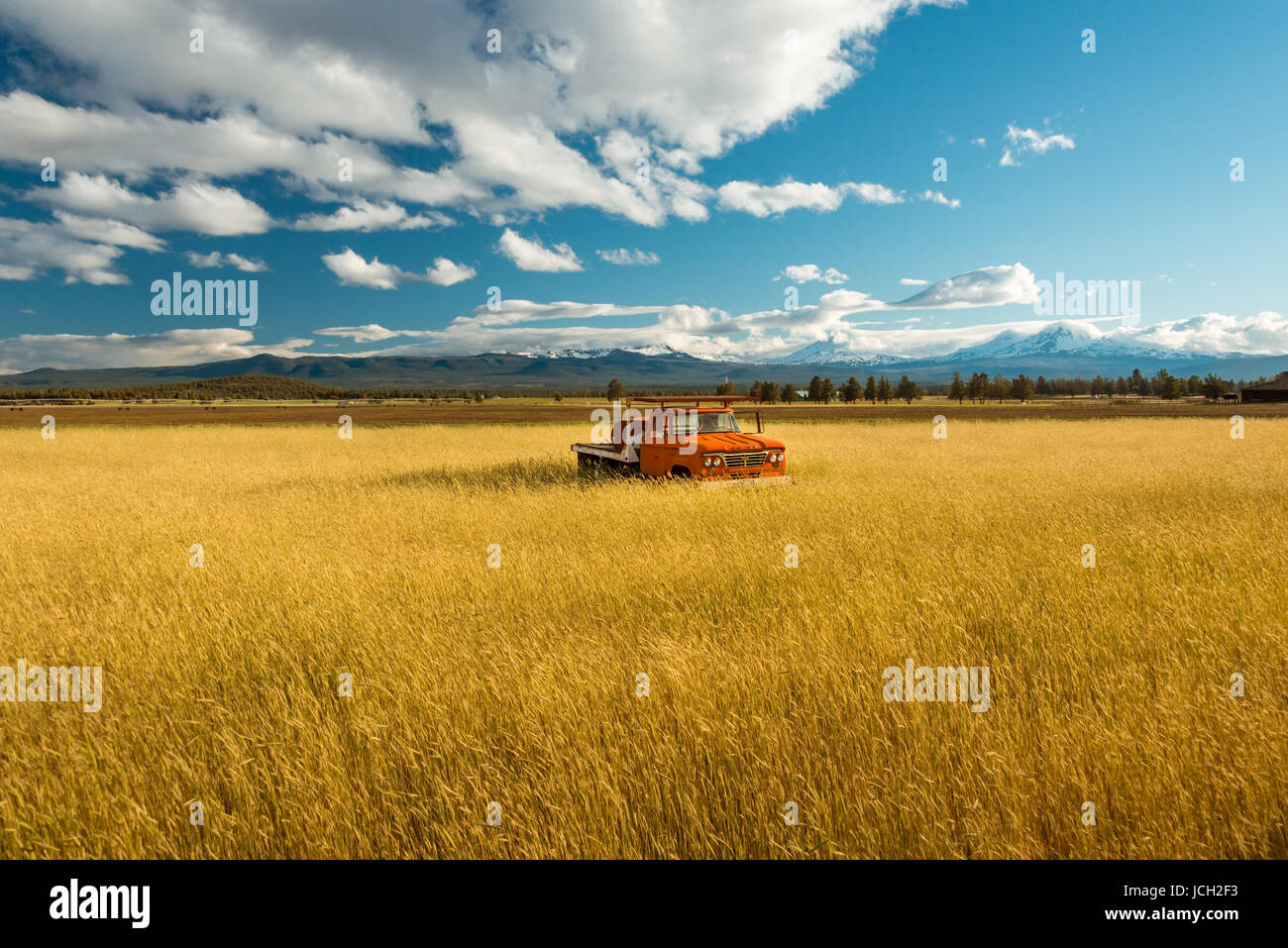 Old grain truck hi-res stock photography and images - Alamy