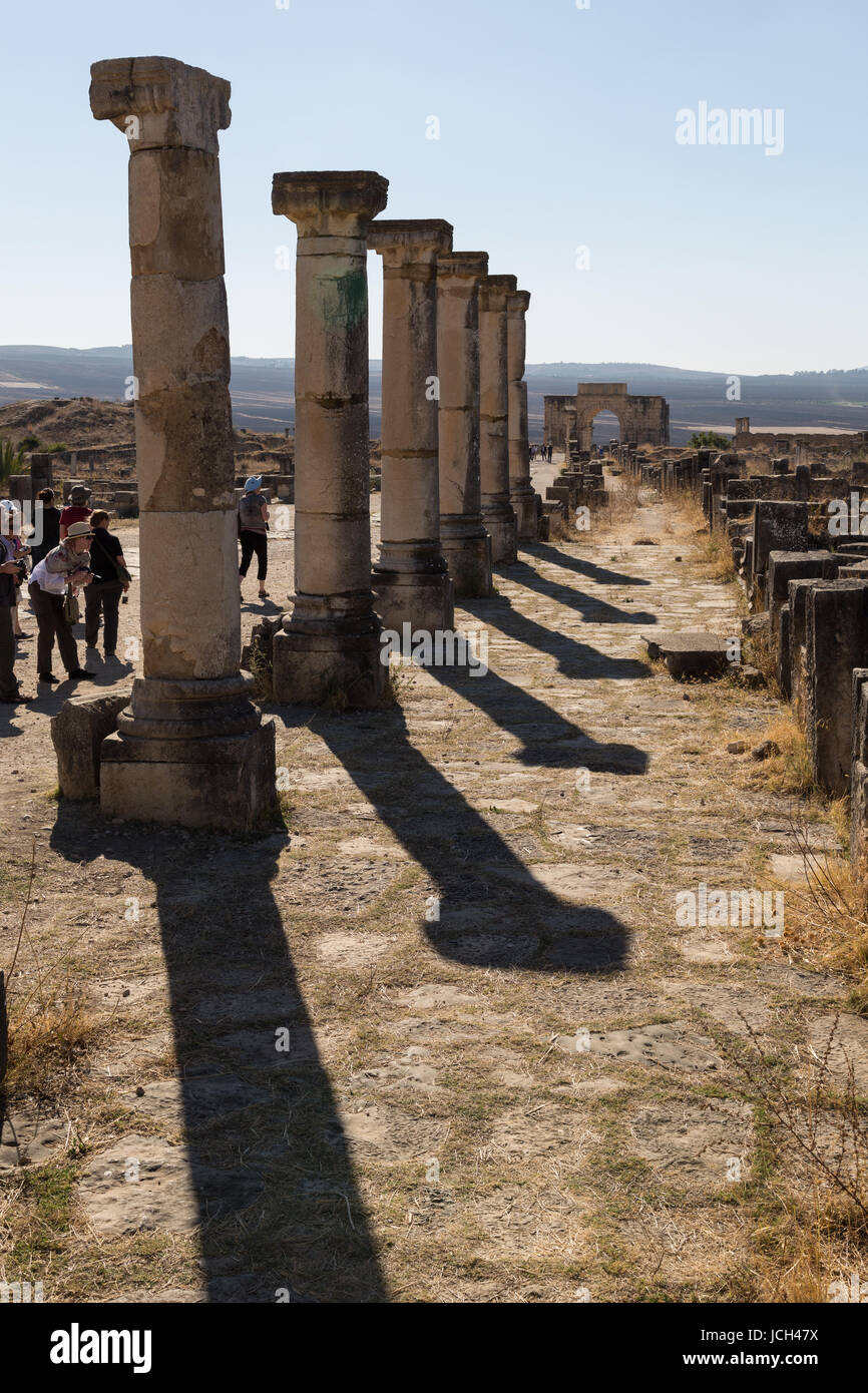 A line of Roman columns cast stark shadows in the Roman city of Volubilis, Morocco Stock Photo
