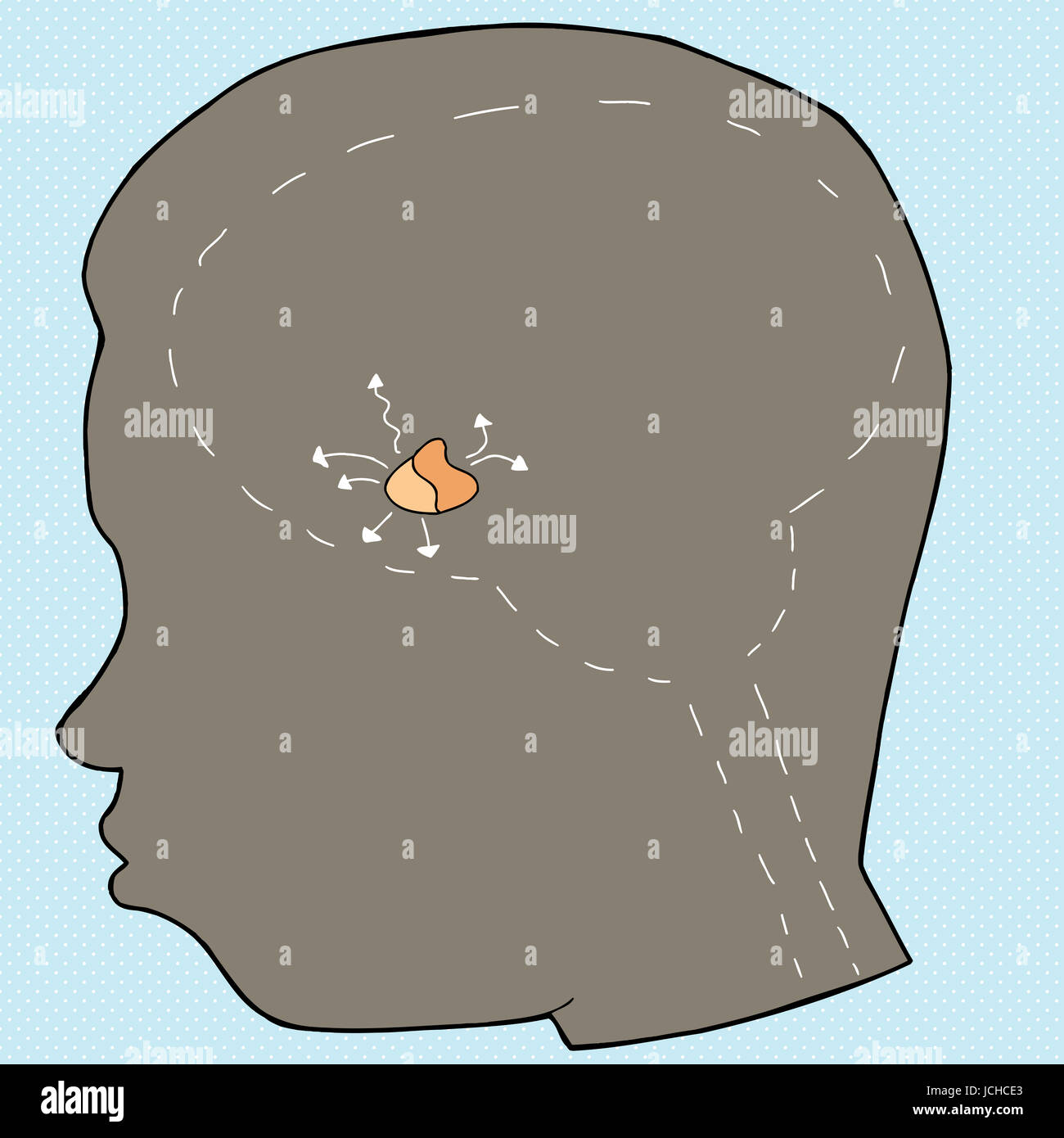 Diagram of pituitary gland in human head Stock Photo