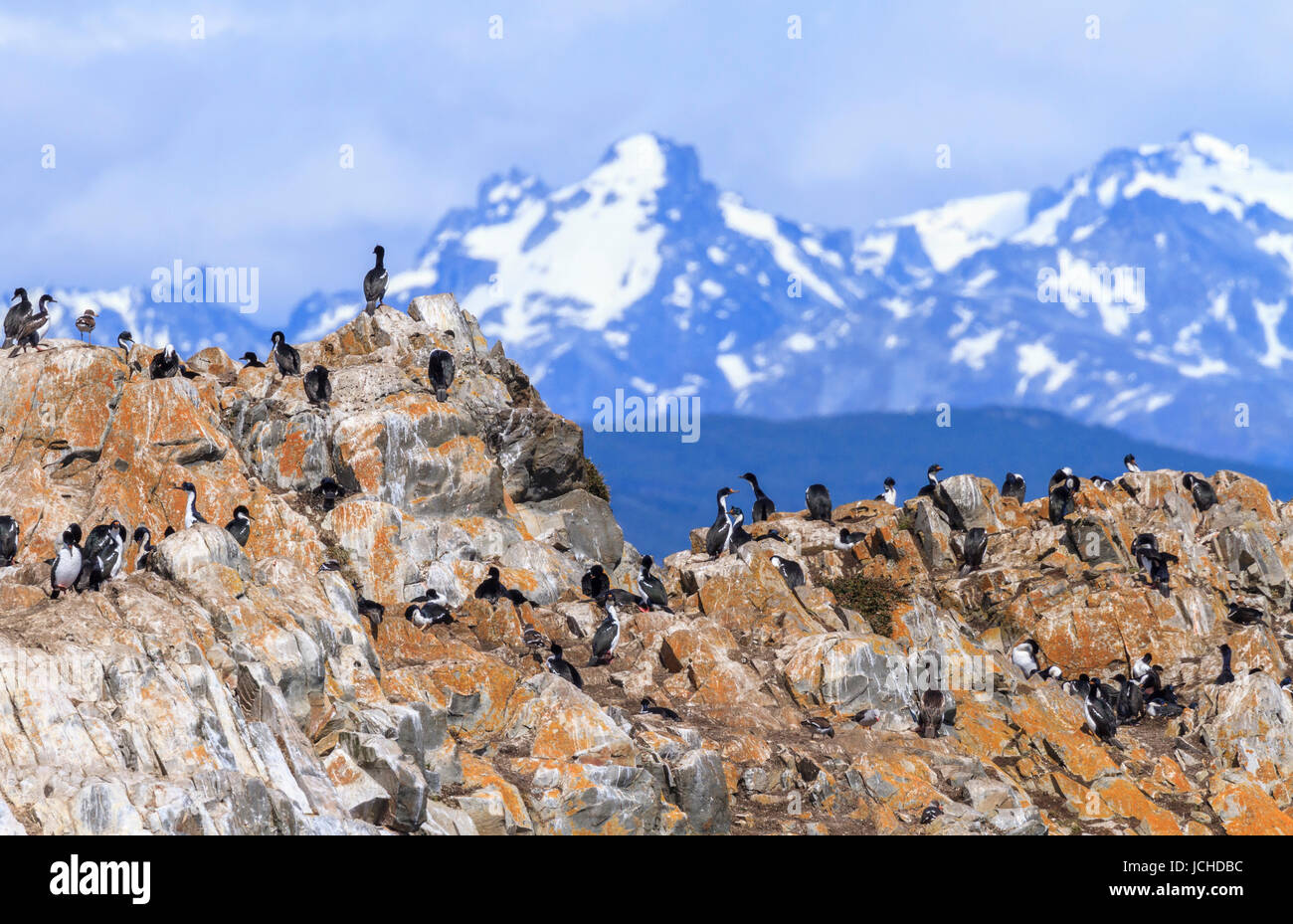 Die, isla de los pájaros, (,Vogelinsel,) ist eine unbewohnte Insel im Beagle-Kanal, etwa acht Seemeilen vor der Hafeneinfahrt von Ushuaia, Stock Photo
