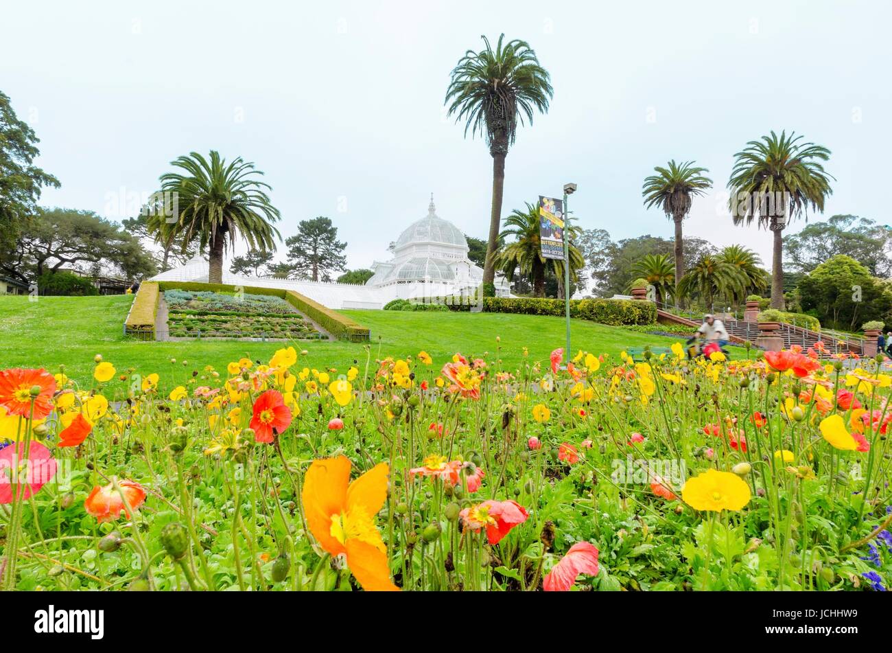 The garden of the Conservatory of flowers in San Francisco, California, United States of America. A greenhouse, botanical garden and historic landmark of traditional wooden Victorian architecture in Golden Gate park. Stock Photo