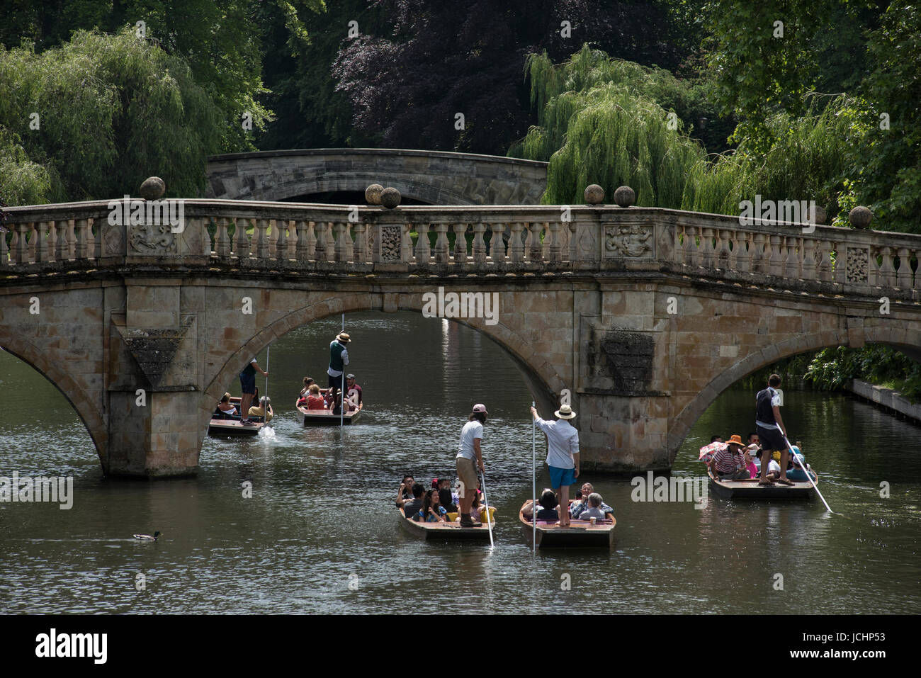 Cambridge, Cambridgeshire, England UK. Punting on the River Cam showing Clare College Bridge in Cambridge. June 2017 Stock Photo