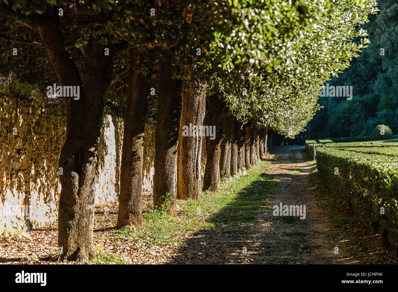 SAN QUIRICO D'ORCIA, ITALY - OCTOBER 30, 2016 - View of the Orti Leonini in San Quirico d'Orcia, Val d'Orcia, Tuscany, Italy Stock Photo