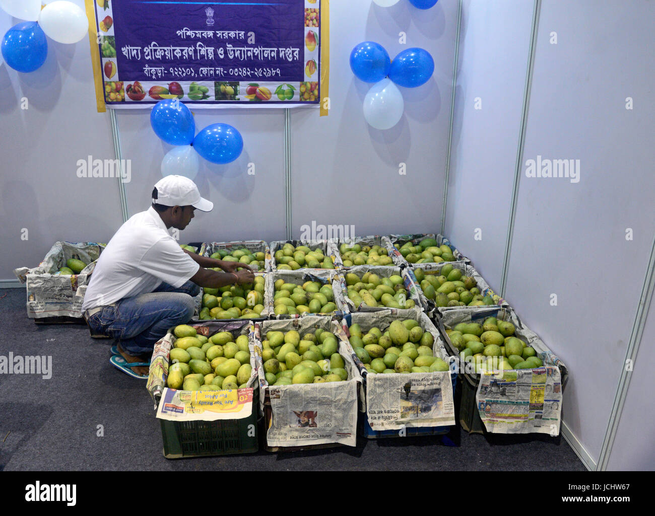 Utsav mela hires stock photography and images Alamy