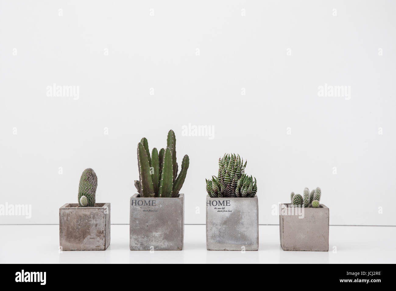 Cactus Set main image 1