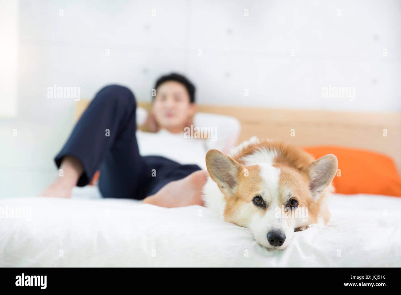 Young bachelor and his pet dog resting Stock Photo Alamy