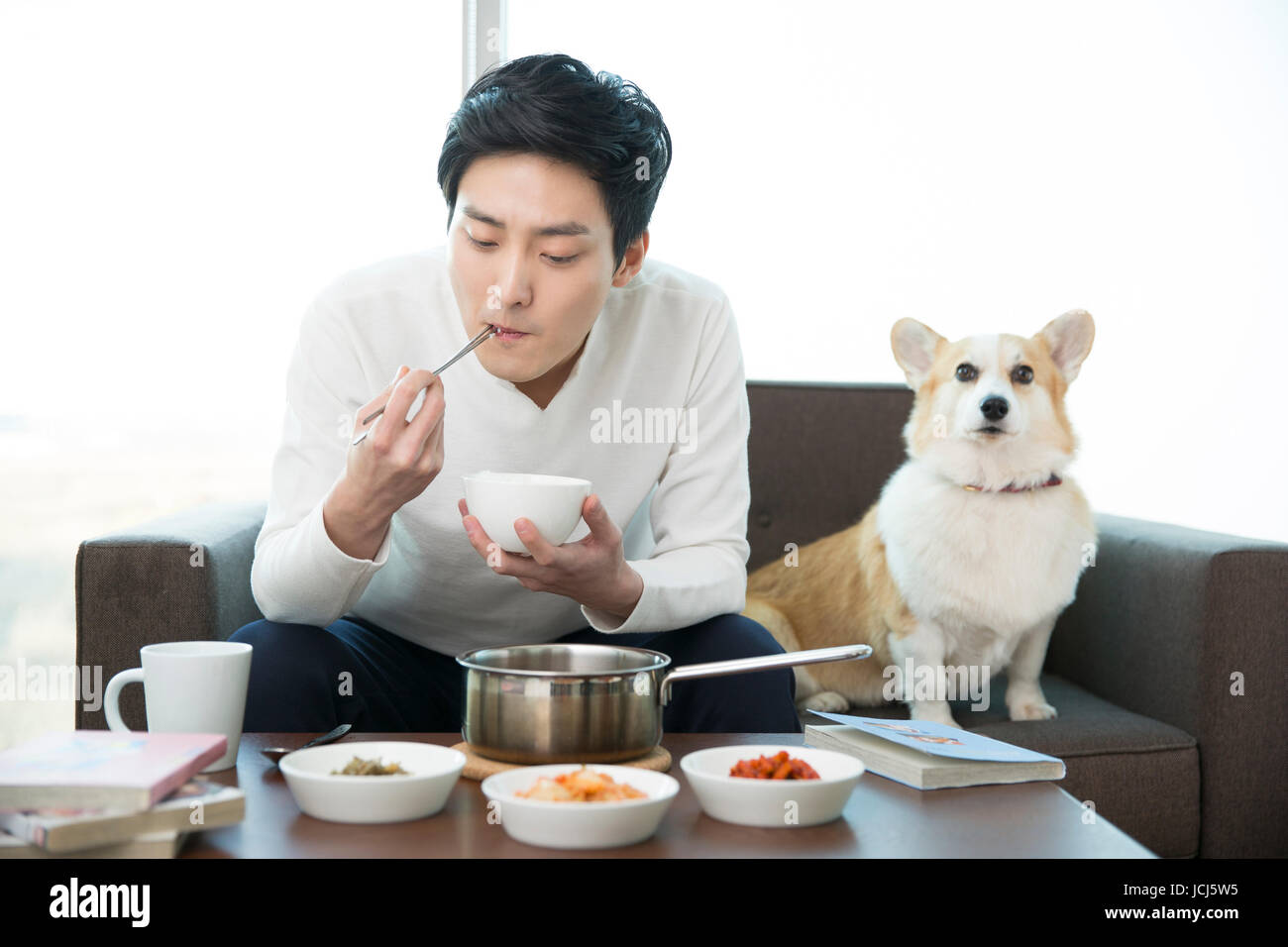 Young bachelor having meal with his pet dog Stock Photo Alamy