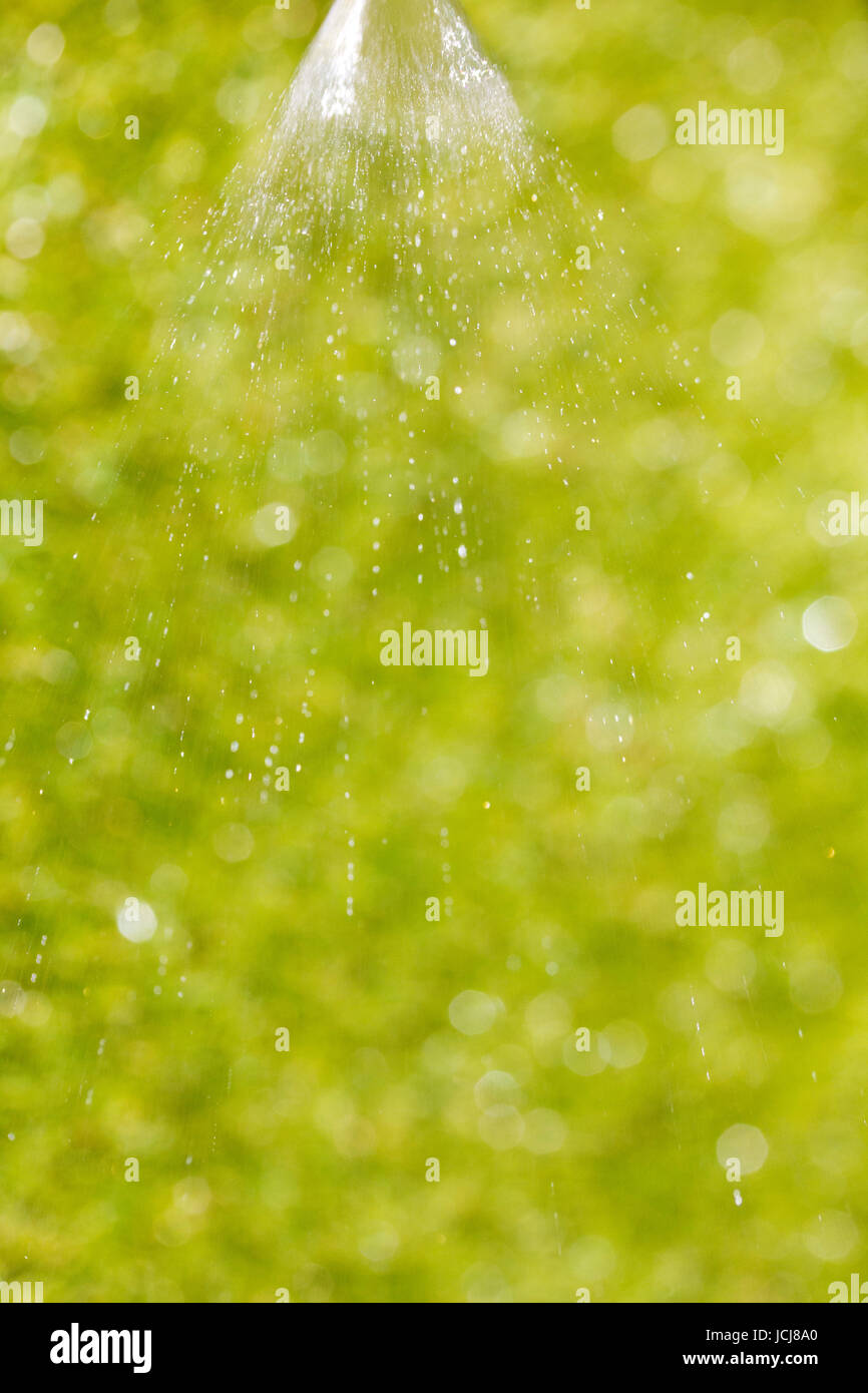 feiner Wasserstrahl mit einem grünen Hintergrund Stock Photo