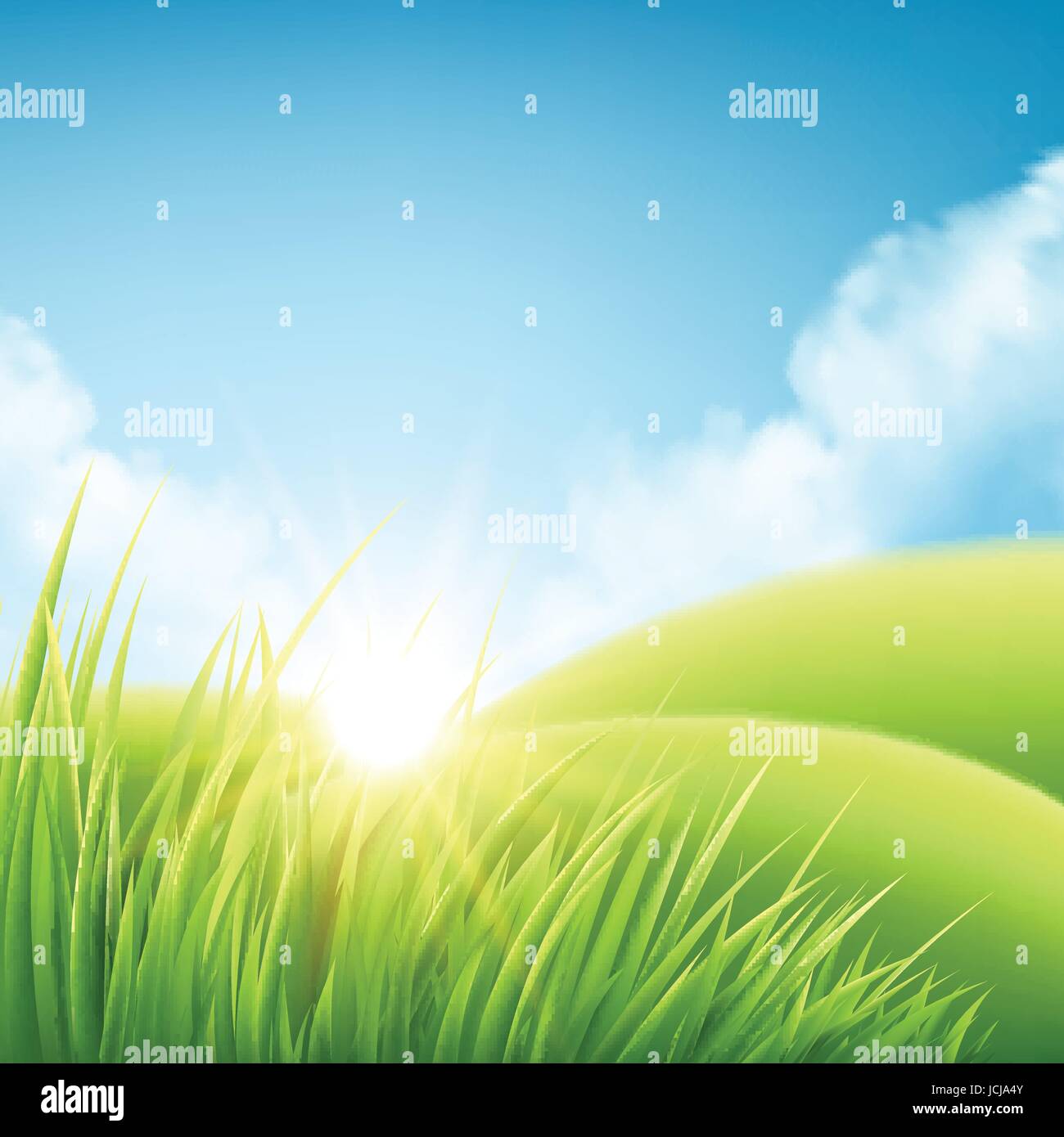 Nature Stock Vector Images Alamy Nature Stock Vector Images Alamy