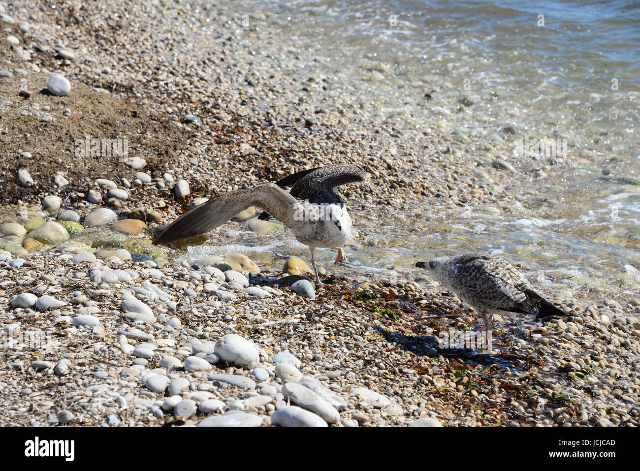 mediterranean salt water Stock Photo