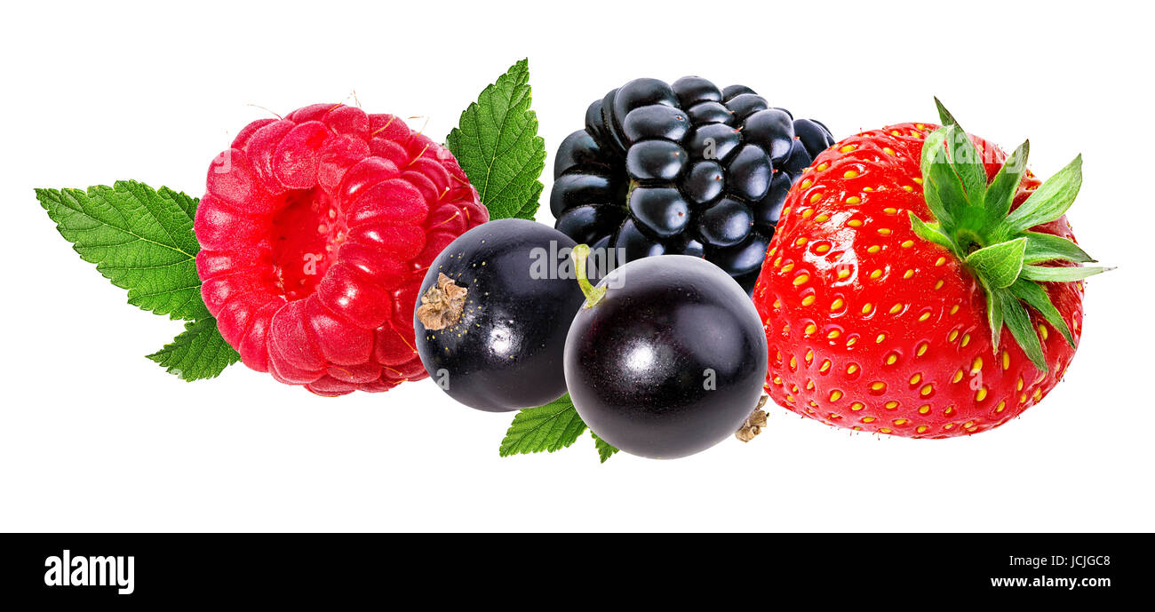 Raspberry, blackberry, currant, strawberry isolated on white Stock ...