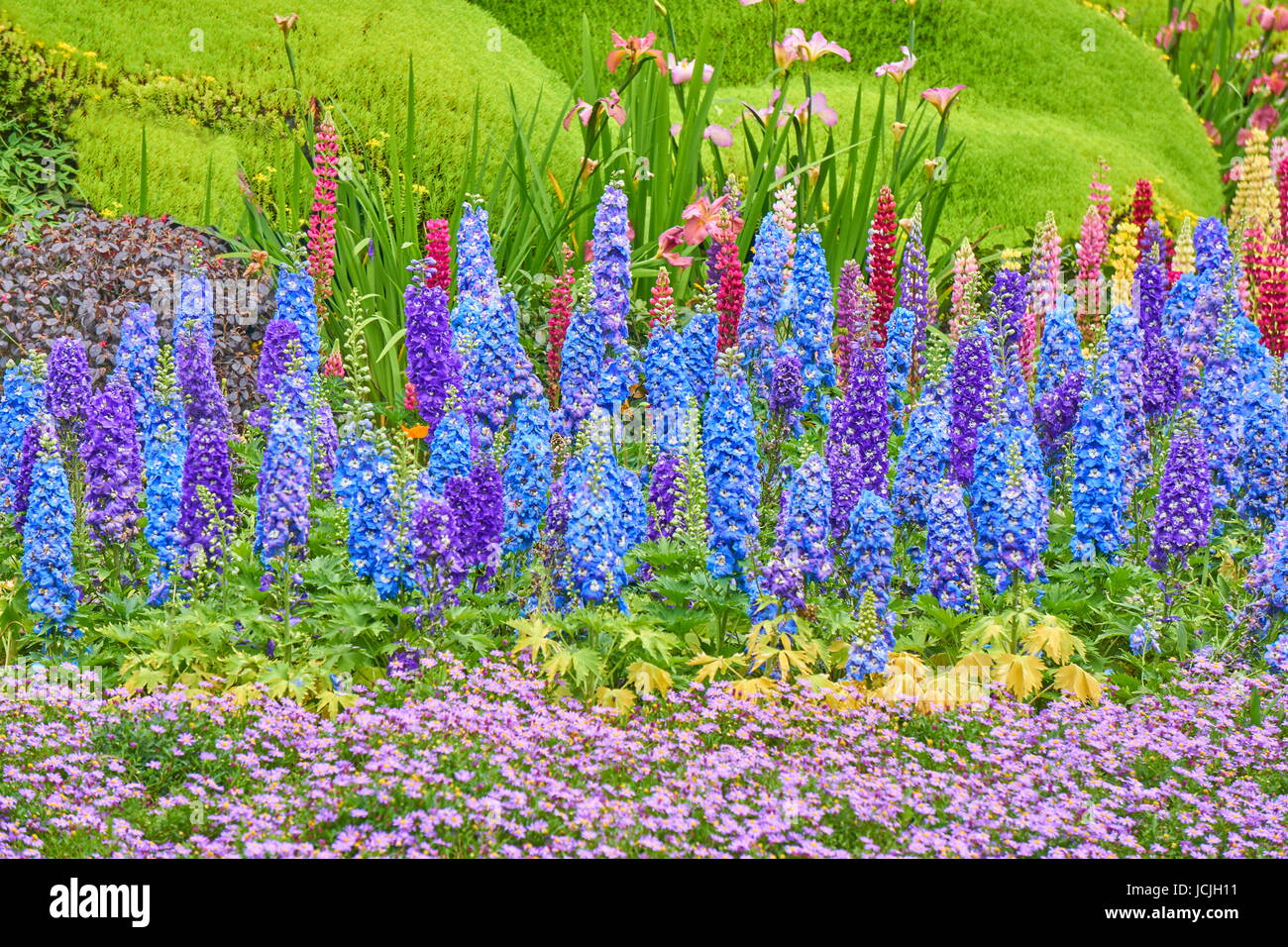 Blooming flowers in Chinese park garden Hangzhou, China Stock Photo