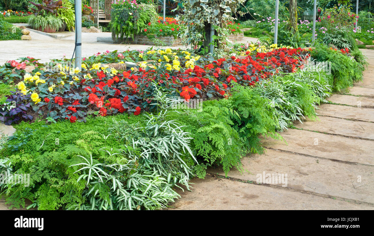 Multicolored flower garden in large greenhouse Stock Photo
