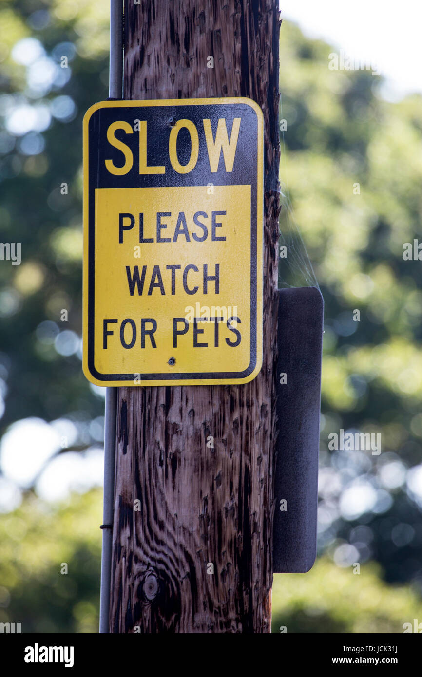 Slow Please Watch for Pets Stock Photo
