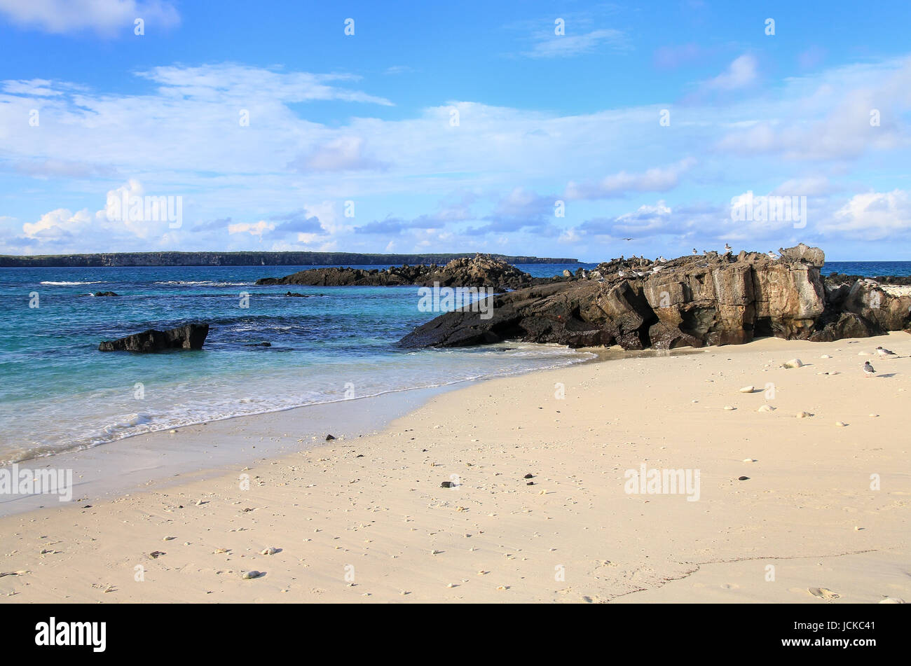 Sandy beach of Great Darwin Bay on Genovesa Island, Galapagos National Park, Ecuador Stock Photo