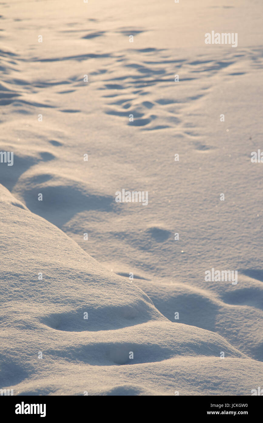 Natural winter background with bright snow drifts Stock Photo