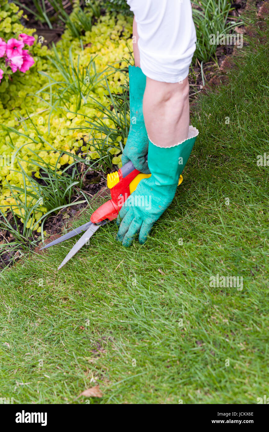 Hände mit Handschuhen und einer Gartenschere bei der Gartenarbeit im Sommer im Freien Stock Photo
