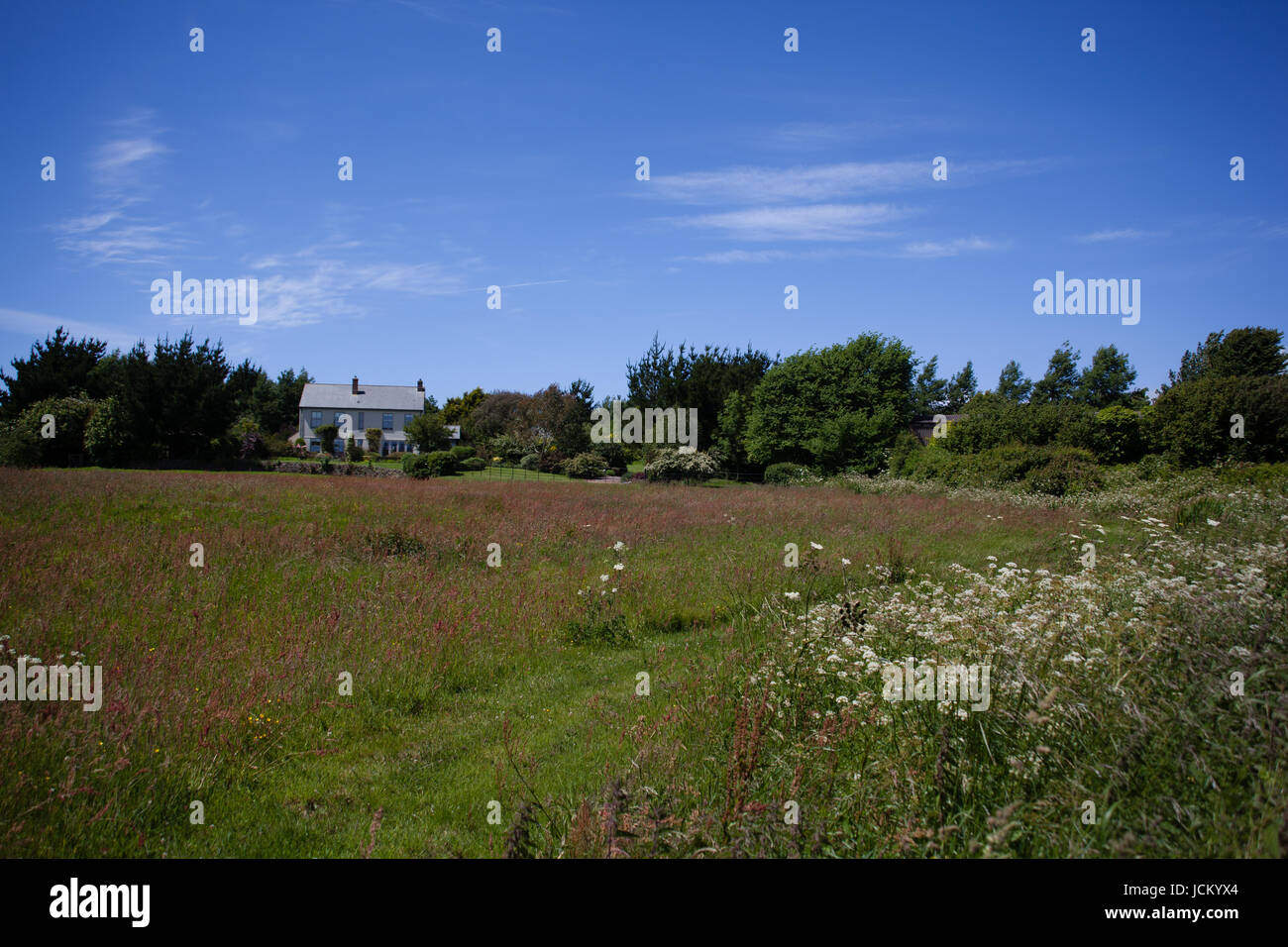 Country cottage viewed from across a summer meadow Stock Photo