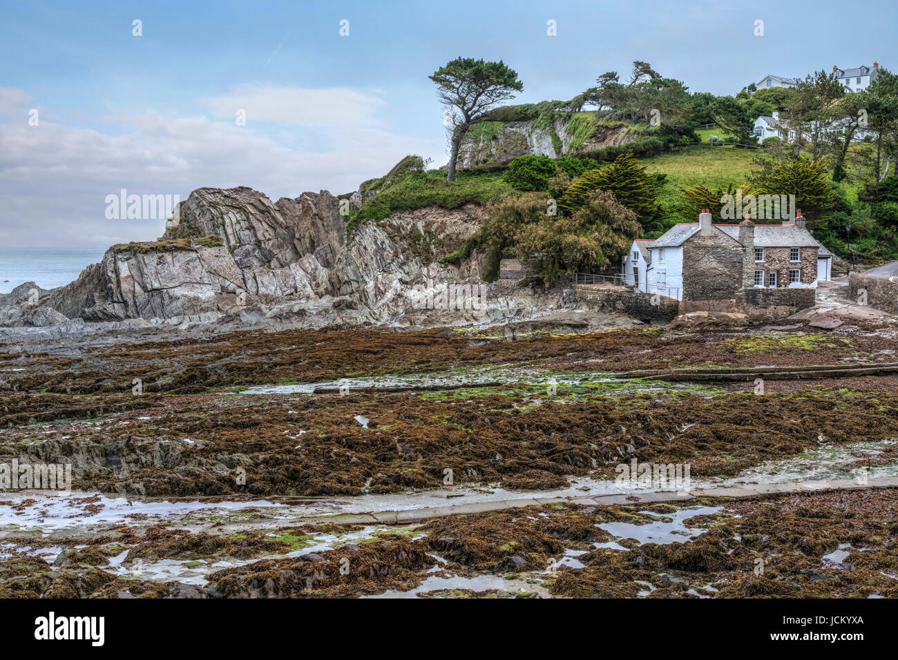 Lee Bay, Devon, England, UK Stock Photo Alamy