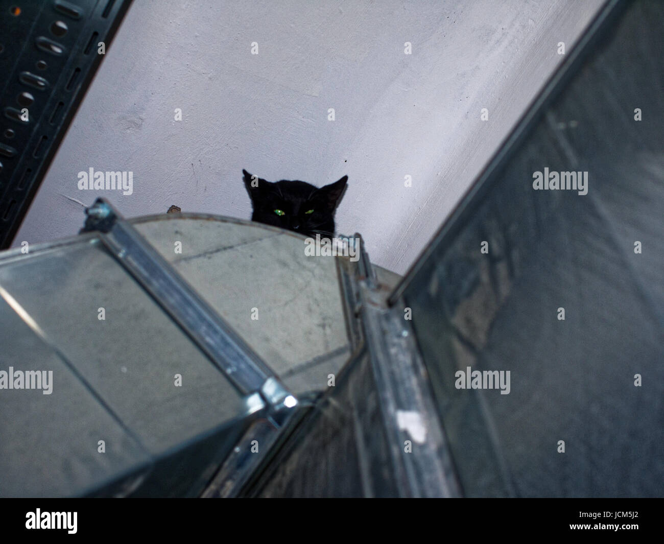 Black Cat On The Duct In The Garage Stock Photo 145502282 Alamy