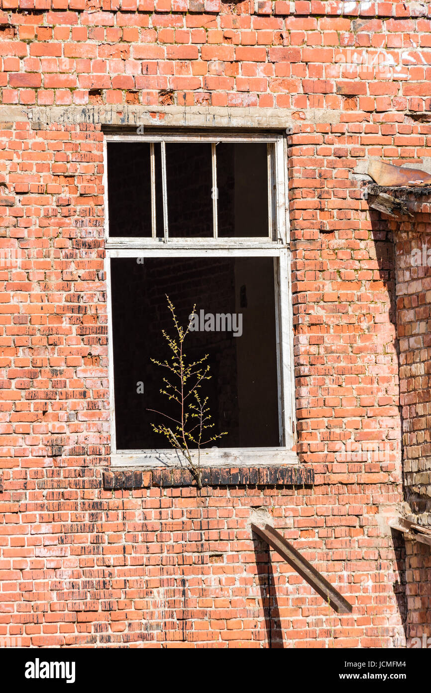 abandoned building ruins on blue sky Stock Photo - Alamy